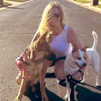 Shaykay1717's profile picture. America First Patriot • Dogs Rule All