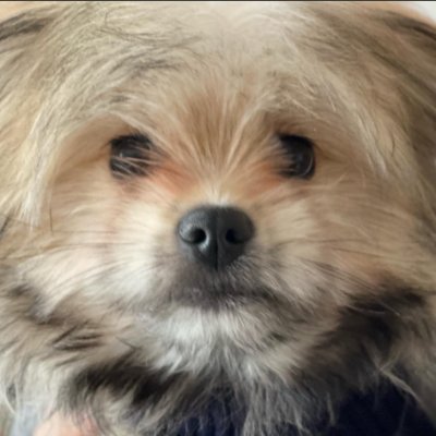 arirv_16's profile picture. Webdeveloper & UI/UX designer

Linkedin: https://t.co/aJVBYAGrjf