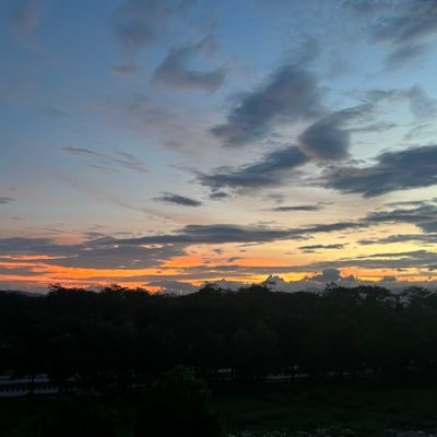 EmpyreanCyan's profile picture. "Yeah everything is alright We've got the keys to open paradise, yeah paradise It feels like We could do this all night~"