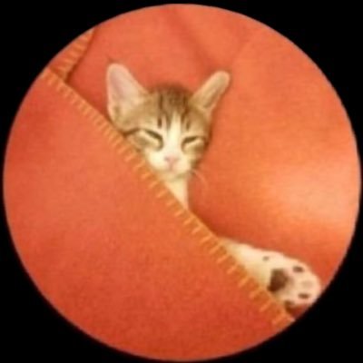 sleepsprecious's profile picture. 