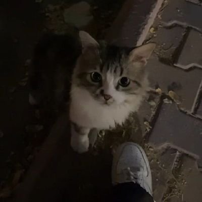 Nathrxdfnbr_'s profile picture. 🇫🇷🇦🇪 | 150$ | F/A | bisnesse Inquiries @Sharpfnbr