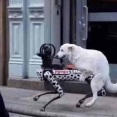 8o81260898's profile picture. ne Bio