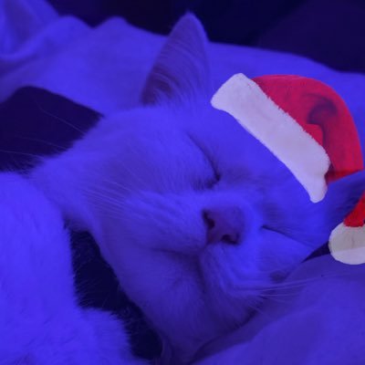 mostplasma's profile picture. mp404🖤 (IM A GIRL) compte fan masha, acab