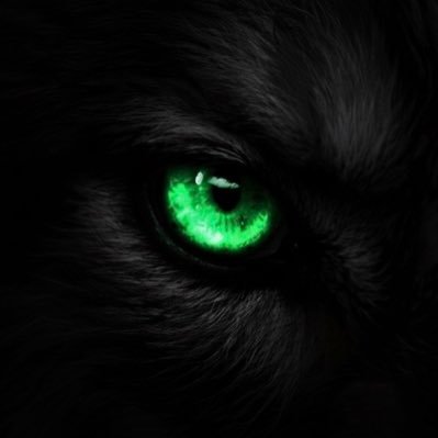 Seffuel's profile picture. Awake Vargr Spiritualist◽Old Enough◽NOT Your Good Boy/Pup ◽TF-Addict ◽ Non-human misanthropic (were)wolf ◽🐺} 🐺🐺 ◽TikTok / VRchat