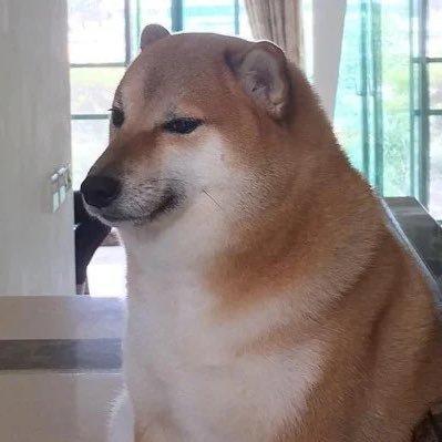 Cheemsbonkedyou's profile picture. 