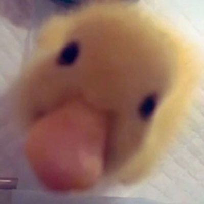 horngry____'s profile picture. how great it is to be the “bardağın dolu tarafı” person