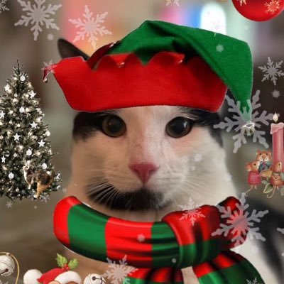 sinkboymouse's profile picture. 2 year old tuxedo boy who’s a menace to society and loves to sleep in the sink 🤍 mom is @kaylajxne