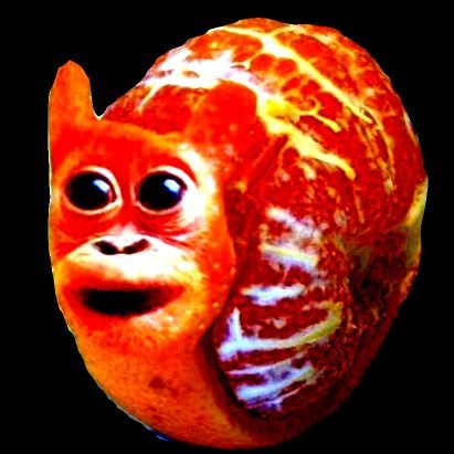 primateluvr's profile picture. 🏳️‍⚧️🏳‍🌈 free 🇸🇩🇵🇸+!!  insane monkey mayhem..bless 🐒  art + editing commissions always open! message me!