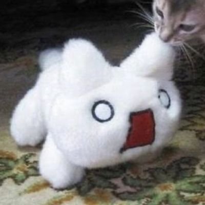 cynnware's profile picture. Programmer & 3D Animator