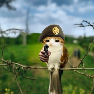 closer2theSun2's profile picture. i was soaring ever higher but i flew too high // صنوبر 🌲 // احيانا ويب احيانا محنك في طريقي الى نعيم الجهل