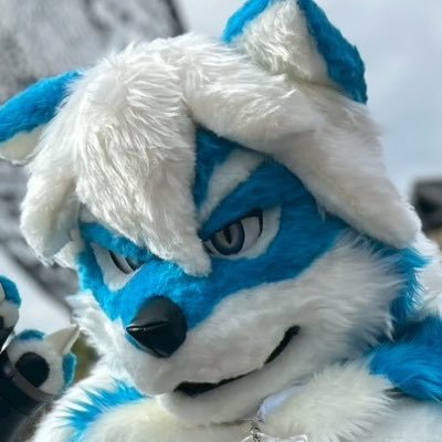 Gairu_Wolf_'s profile picture. 以前アカウント凍結されて再開 R7.10.10にお迎えした青狼のワイルドのガイルと同居中 各地やアジアのケモノ着ぐるみイベントなどお誘いあったらDMすると嬉しいです 競技ドリフトと競技バギーのラジコンもします 着ぐるみオーナーさんやケモノ好きと一緒に沢山繋がりたいのでお気軽にフォローをよろしくお願いします