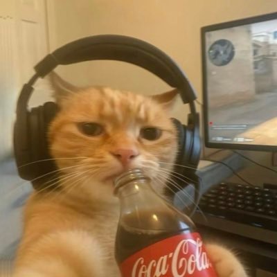 arayanassiar's profile picture. Memes e vídeos “engraçados”🤪