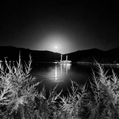 79178537M's profile picture. 