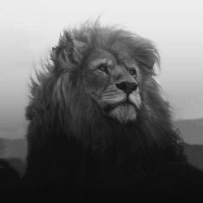 Rone1of1's profile picture. @iBallEmpire