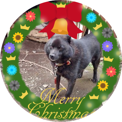 Kuro_is_Room's profile picture. 日々のちょっとした出来事の気まぐれ更新です😅꜆꜄꜆がご覧頂きありがとうございます(❁ᴗ͈ˬᴗ͈)👍🏻🎶も有難い🙏✨Xになったら更新が遅いので最新投稿に👍🏻⸒⸒👍🏻⸒⸒遅れて申し訳ないです😭+👤外から👍🏻するけどご了承ください🙇無言フォローOK✌よろしくお願いします(  ᴗ ᴗ)