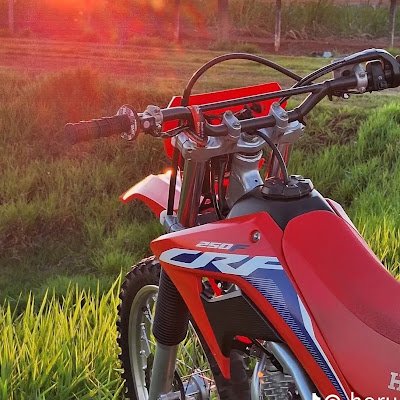 DerickP40328's profile picture. 