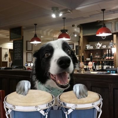 MillieOTLFP's profile picture. I host #rehomehour Tuesday 8pmUK time,
Co-host #OTLFP #TzuKingdom CrownDeputy
Team #furrytails #ZSHQ #TheAviators #TheRuffRiderz Dame '17 #anipalsnewyearhonours