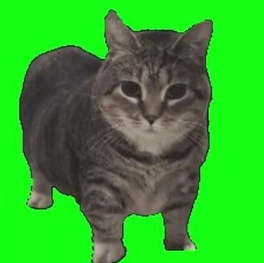 DomiR_0141's profile picture. 準備中