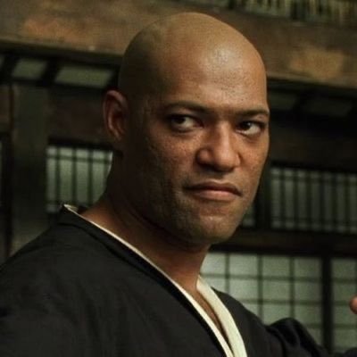 ripple_effekt's profile picture. In a jungle called Earth.