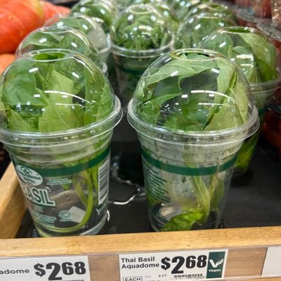 Ms_Vio_'s profile picture. 自由之地，是我能保护我的家人的地方