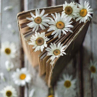 iam_mmangaliso's profile picture. 