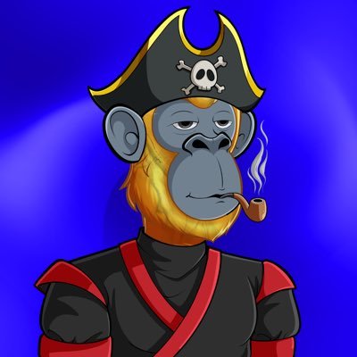 SyncityPirate's profile picture. ☠️🐰@CasinoSociety_ $XRPL $XRP $RLUSD $Honey $HBAR