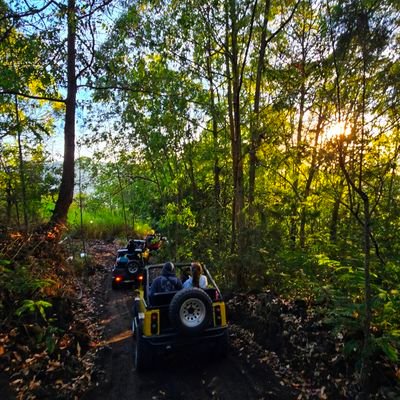 yildirimenglish's profile picture. 