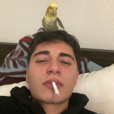 kekwa1p's profile picture. otizme sürüklenmiş çocuk