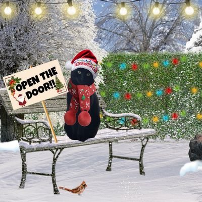 aka_layla's profile picture. Hamilton (panfur 2 years old) 🐱 Bandit 🌈 Layla🌈 Tinky🌈 #Ambassacats for West Sussex Attendees of Mogwarts (Lionmane 🦁🦁)