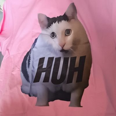 seccofofana27's profile picture. account satirico