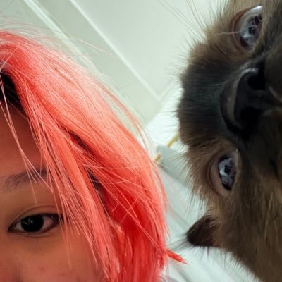 kamutuh's profile picture. kind but not soft, part of @melapor | 10.00-20.00 WIB.