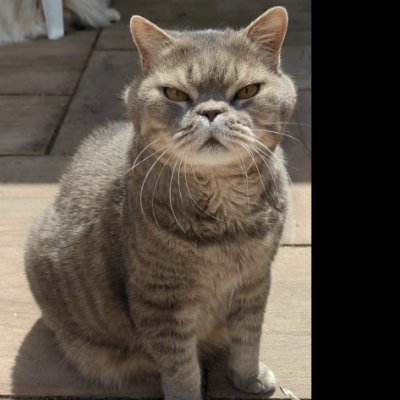 HelixSir's profile picture. #bitcoin