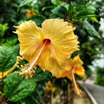 JMistry4991's profile picture. 