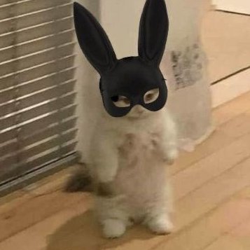 Rafaelsilv94796's profile picture. 