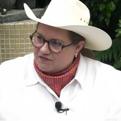 LaurieSarro300's profile picture. Experta con 300 doctorados en Harvard, máxima autoridad en materia de salud a nivel mundial. 

Censurada y reencarnada para culpar a Gatell (parodia).