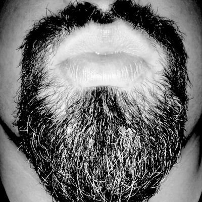 OcherCardMan's profile picture. Horror and Odd Fiction Writer. Over 50 Stories on my blog. *Check the link below*
||Host of #MelancholyVerse|| #7SyllableStory||