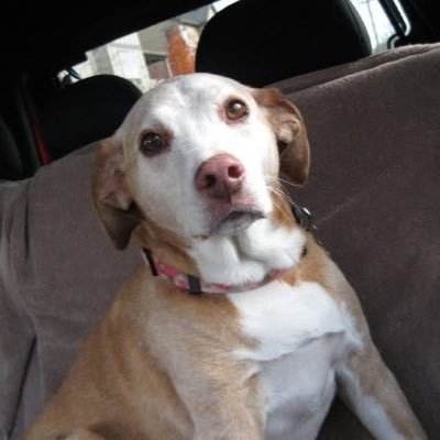 garyandscott's profile picture. Hi, we're Gary and Scott! We've been Realtors with REMAX for over twenty years and are ready to help with your Oregon real estate needs.