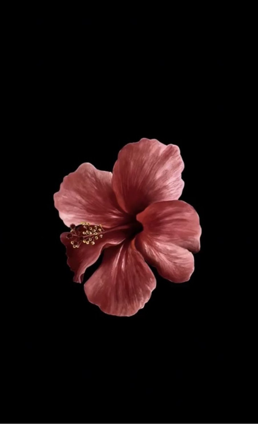 Moriahda1Nonly's profile picture. 