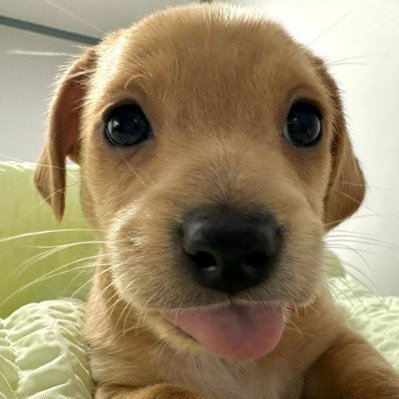 bily2ndchance_'s profile picture. BILLY FROM THE OG CTO TEAM - F6KW91JfjGrZq5a1J2v5MrJnFRXPZBHWucFwpX4vpump