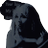ISTACKH0US3's profile image