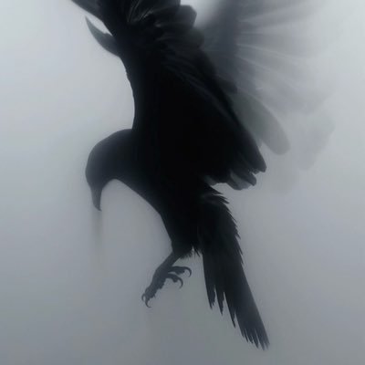 Apple_Pi250487's profile picture. Law of Assumption | 777