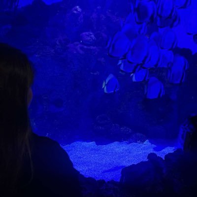 Rawanqueena's profile picture. ⋆｡˚☀︎｡ 𓂀 𓇼