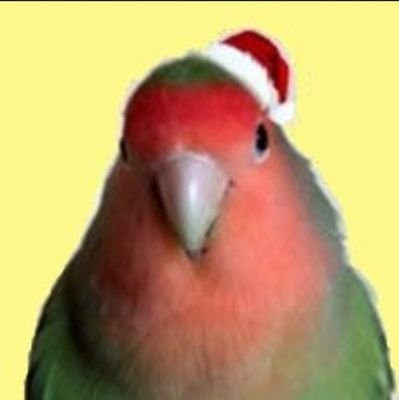 sea_sun's profile picture. I'm keeping 8 Rosy-faced Lovebirds and 1 Superb Parrot. PA & recording technician.