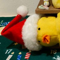 聖夜の地鶏 (@holychickenyaro) 's Twitter Profile Photo