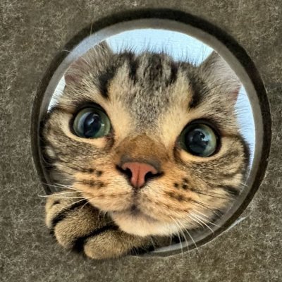 blockchain_k1ng's profile picture. 🌍 Crypto investor & NFT creator 💥 Empowering creators, artists, and investors in the decentralized world. Let’s build something amazing! 💎