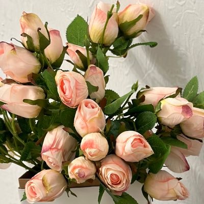 ahla37625's profile picture. 