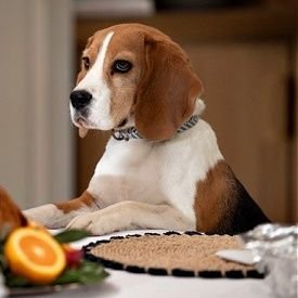 Outback1057766's profile picture. 