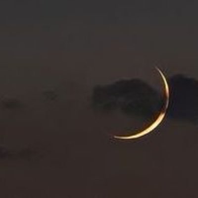 dvllys's profile picture. 