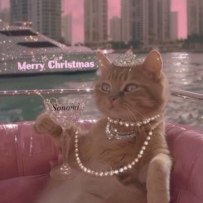 SonomiFujita's profile picture. Facebook Sonomi Fujita 藤田園美