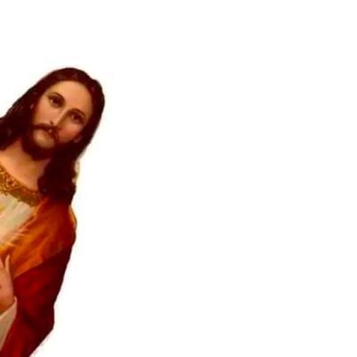 woodlandbirch's profile picture. Population Of Idiots  ~ 21st century